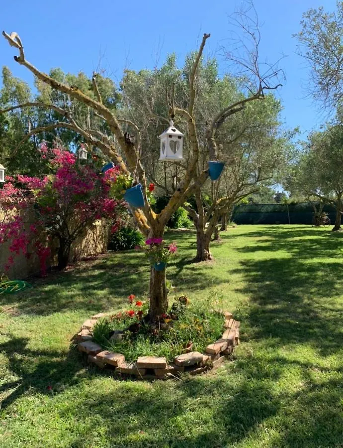 Il Bouganville Οριστάνο Bed and Breakfast
