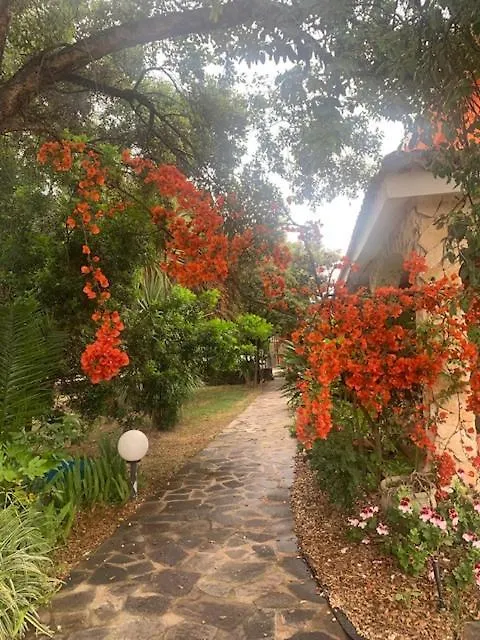 Bed & Breakfast Il Bouganville Oristano