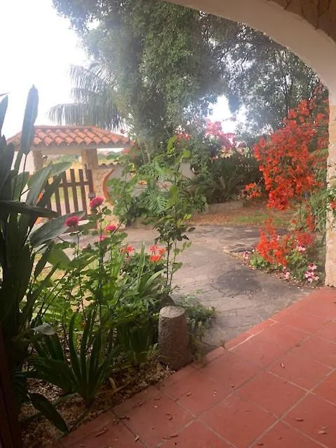 Bed and Breakfast Il Bouganville Οριστάνο