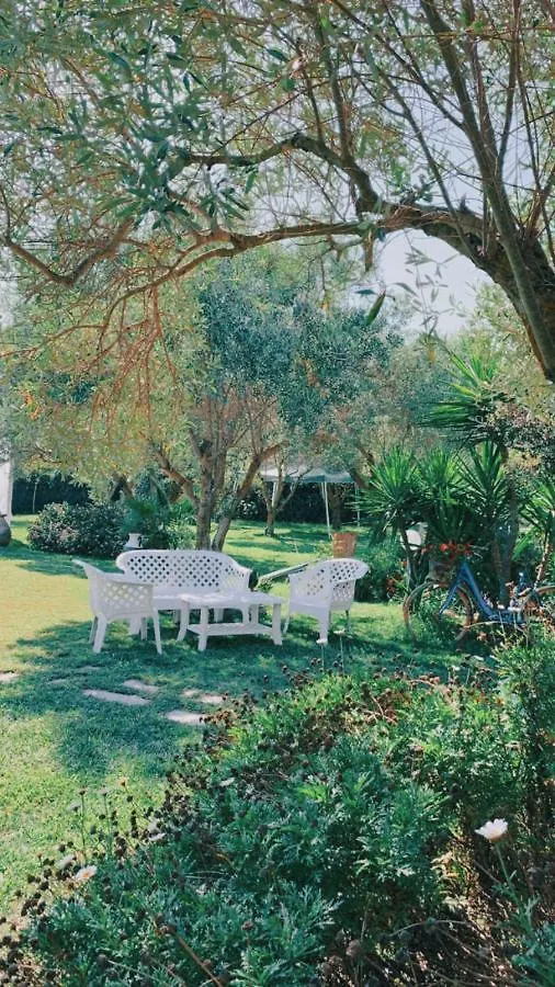 Il Bouganville Oristano Bed & Breakfast